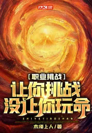 《职业挑战：让你挑战，没让你玩命！》小说封面