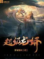 《超级龙婿》小说封面