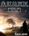 《失落的王权》小说封面