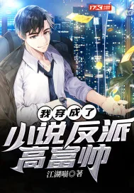 《我穿成了小说反派高富帅》小说封面