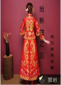 《抢了新娘之后》小说封面