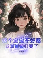 《这个宝宝不好惹，反派都被打哭了》小说封面