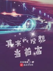 《其实我没想当首富》小说封面