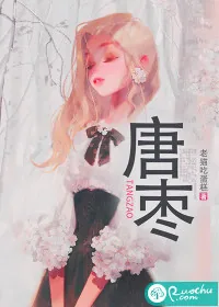《唐枣》小说封面
