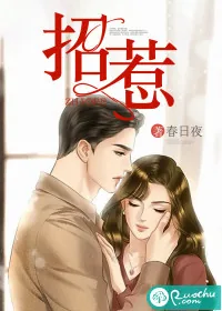 《招惹》小说封面