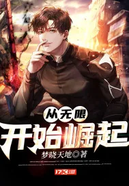 《从无限开始崛起》小说封面