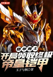 《铠甲勇士：开局领取终极帝皇铠甲》小说封面