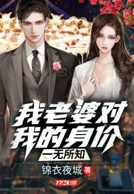 《我老婆对我的身价一无所知》小说封面