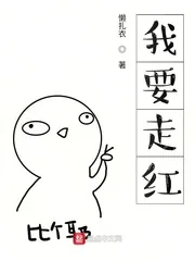 《我要走红》小说封面