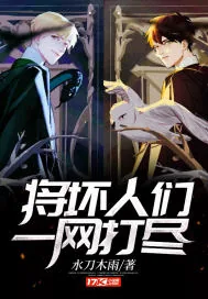 《将坏人们一网打尽》小说封面
