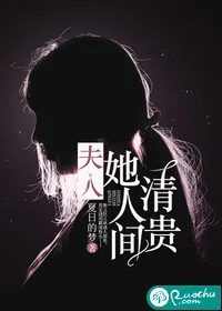 《夫人她人间清贵》小说封面