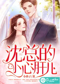 《沈总的小心肝儿》小说封面