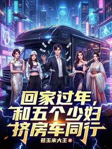 《回家过年,和五个少妇挤房车同行》小说封面