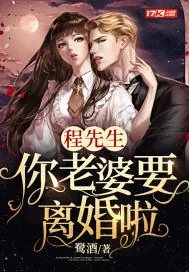 《程先生:你老婆要离婚啦》小说封面