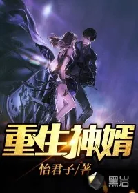 《重生神婿》小说封面
