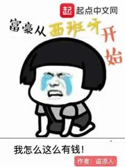 《富豪从西班牙开始》小说封面