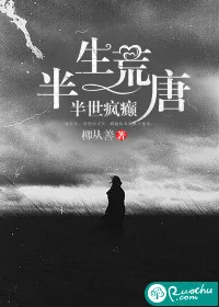 《半生荒唐，半世疯癫》小说封面