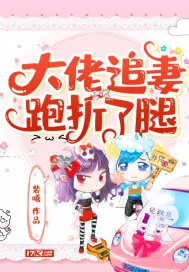 《大佬追妻跑折了腿》小说封面