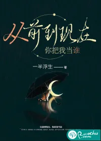 《从前到现在，你把我当谁》小说封面