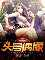 《头号偶像》小说封面