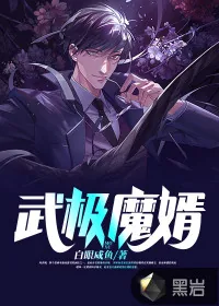 《武极魔婿》小说封面