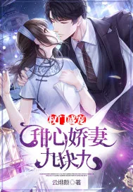 《权门盛宠：甜心娇妻九块九》小说封面