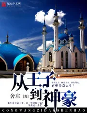 《从王子到神豪》小说封面