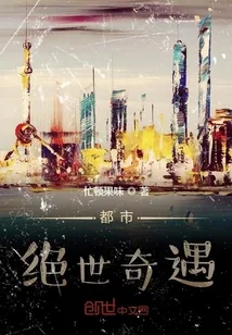 《都市绝世奇遇》小说封面