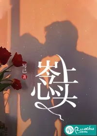 《岑上心头》小说封面