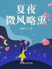 《夏夜微风略熏》小说封面