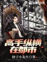 《高手纵横在都市》小说封面