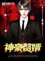 《神豪赘婿》小说封面