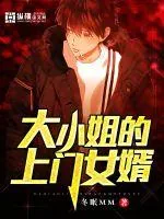 《大小姐的上门女婿》小说封面