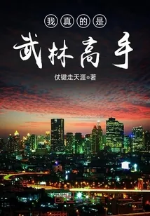 《我真的是武林高手》小说封面