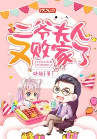 《二爷夫人又败家了》小说封面