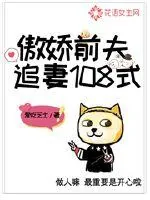 《傲娇前夫追妻108式》小说封面