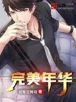 《完美年华》小说封面
