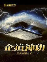 《企道神功》小说封面