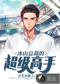 《冰山总裁的超级高手》小说封面
