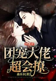 《团宠大佬超会撩》小说封面
