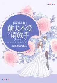 《婚深几许：前夫不爱请放手》小说封面