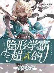 《隐形学霸超A的》小说封面