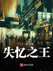 《失忆之王》小说封面
