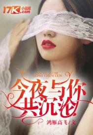 《今夜与你共沉沦》小说封面