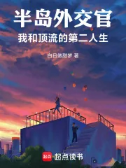《半岛外交官:我和顶流的第二人生》小说封面