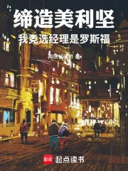 《缔造美利坚:我竞选经理是罗斯福》小说封面