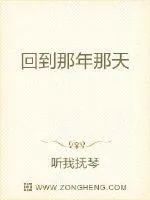 《回到那年那天》小说封面