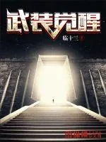 《武装觉醒》小说封面