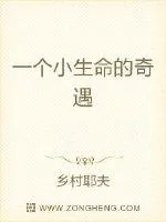 《一个小生命的奇遇》小说封面