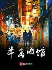 《半岛酒馆》小说封面